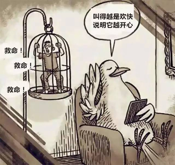 割须换袍背后的生肖之谜探秘
