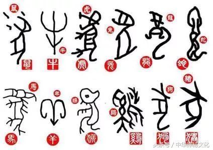 短小精悍的生肖魅力揭秘，哪个生肖独具魅力？