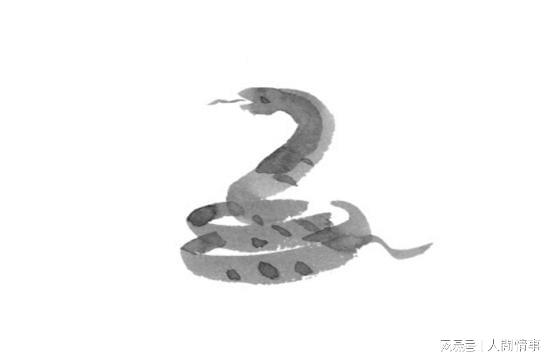 四六转动五坠落，揭秘生肖运势详解