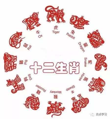 歇斯底里与生肖之谜，探寻背后的神秘联系探究