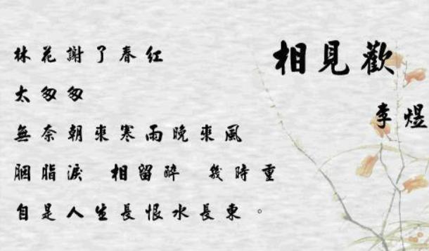 识荆恨晚，成语背后的深意与人生启示探寻