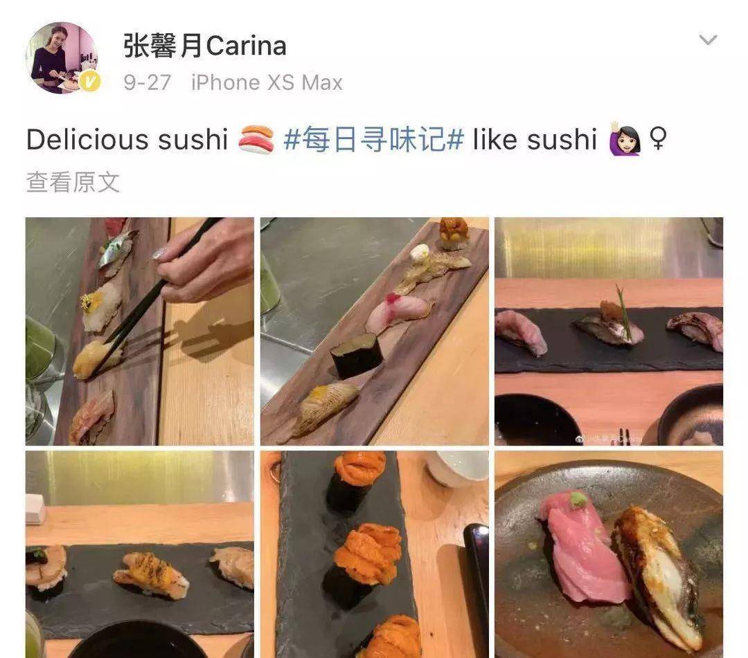 临渊结网，探寻生肖奥秘