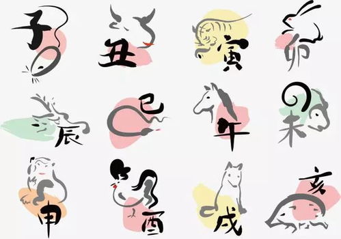 一日千里速度与激情，生肖的象征