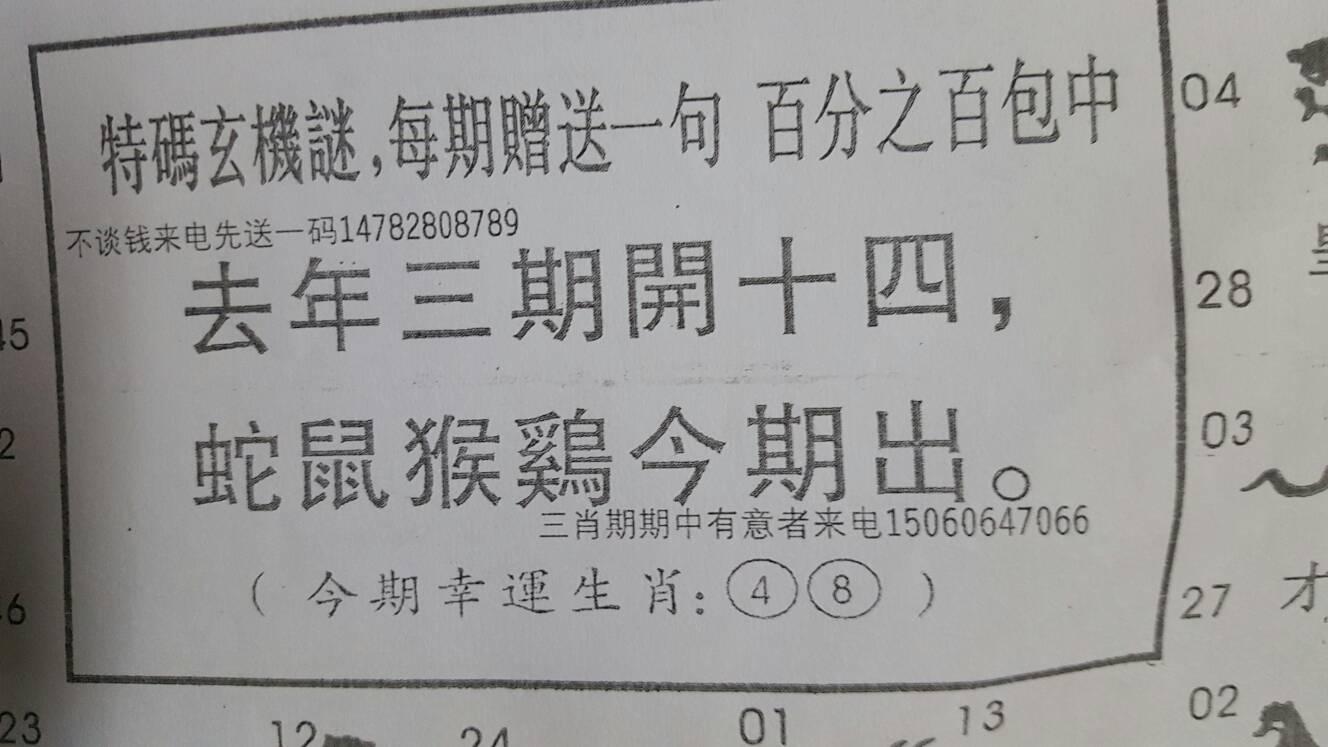 随意一瞥，揭秘生肖之谜