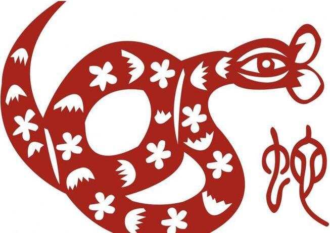 揭秘生肖蛇的神秘面纱，独特魅力与难以捉摸的个性