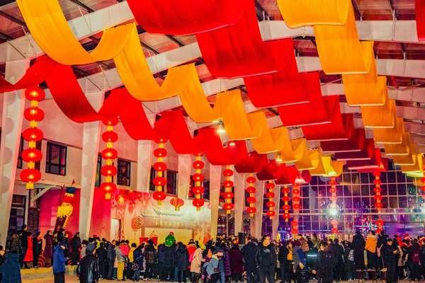 揭秘十二生肖野兽，探寻中国古老传统中的神秘形象