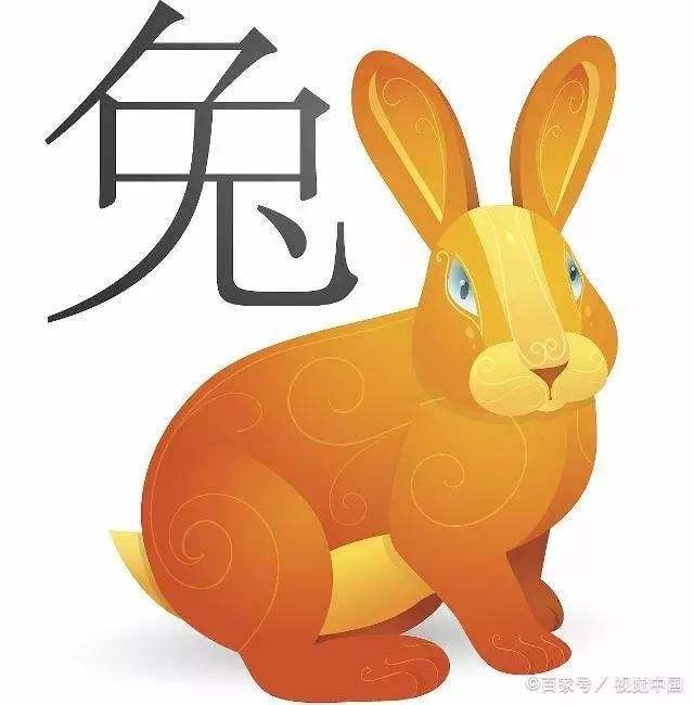 生肖兔对冲生肖虎运势挑战与应对策略，生肖兔如何应对虎年运势挑战？