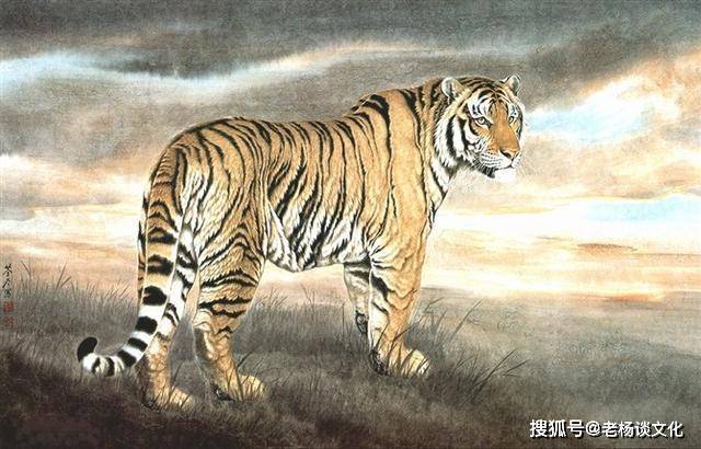 三五双一四猜生肖，揭秘生肖文化的魅力与乐趣