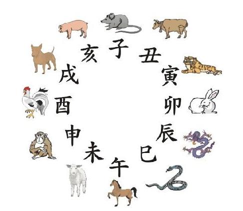 新年旺运生肖揭秘，神秘力量与生肖动物的启示