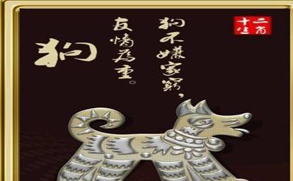 揭秘后肖生肖的神秘面纱，后肖究竟指的是什么生肖？