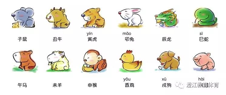 视力不佳的生肖背后的故事与应对之道