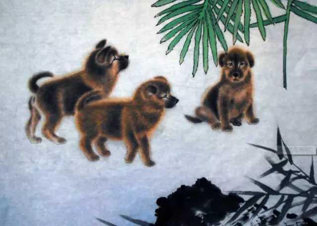 狼心狗肺与生肖之谜，揭秘狼心狗肺背后的生肖秘密