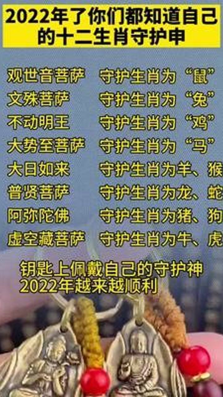 三五有运九独行生肖，探寻生肖文化中的智慧与奥秘