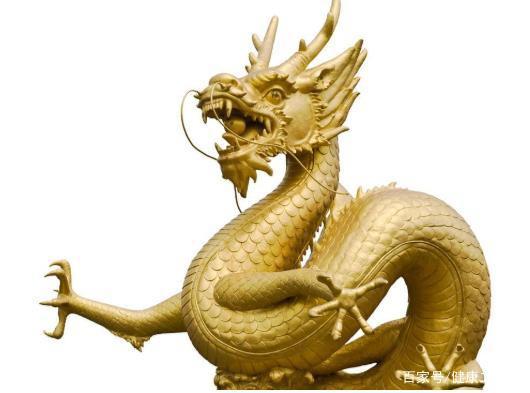 十二生肖中的珍稀之宝——龙