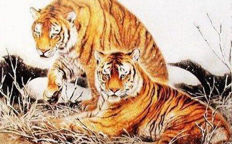 贪生怕死猜一生肖，探寻生肖智慧与勇气的双重面貌