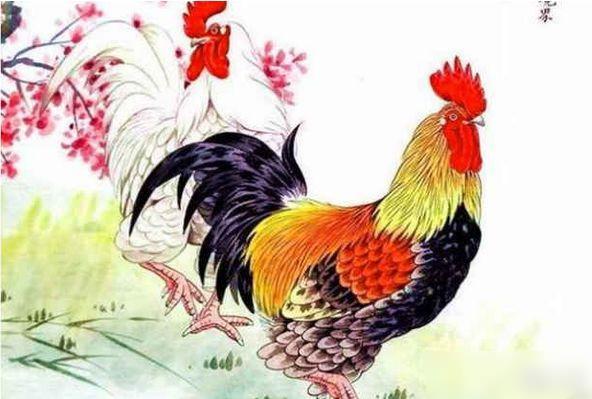 零孤苦，生肖背后的故事与寓意解读