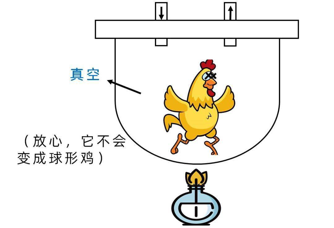 揭秘不存在的方形鸡，探寻不可能现象背后的科学真相