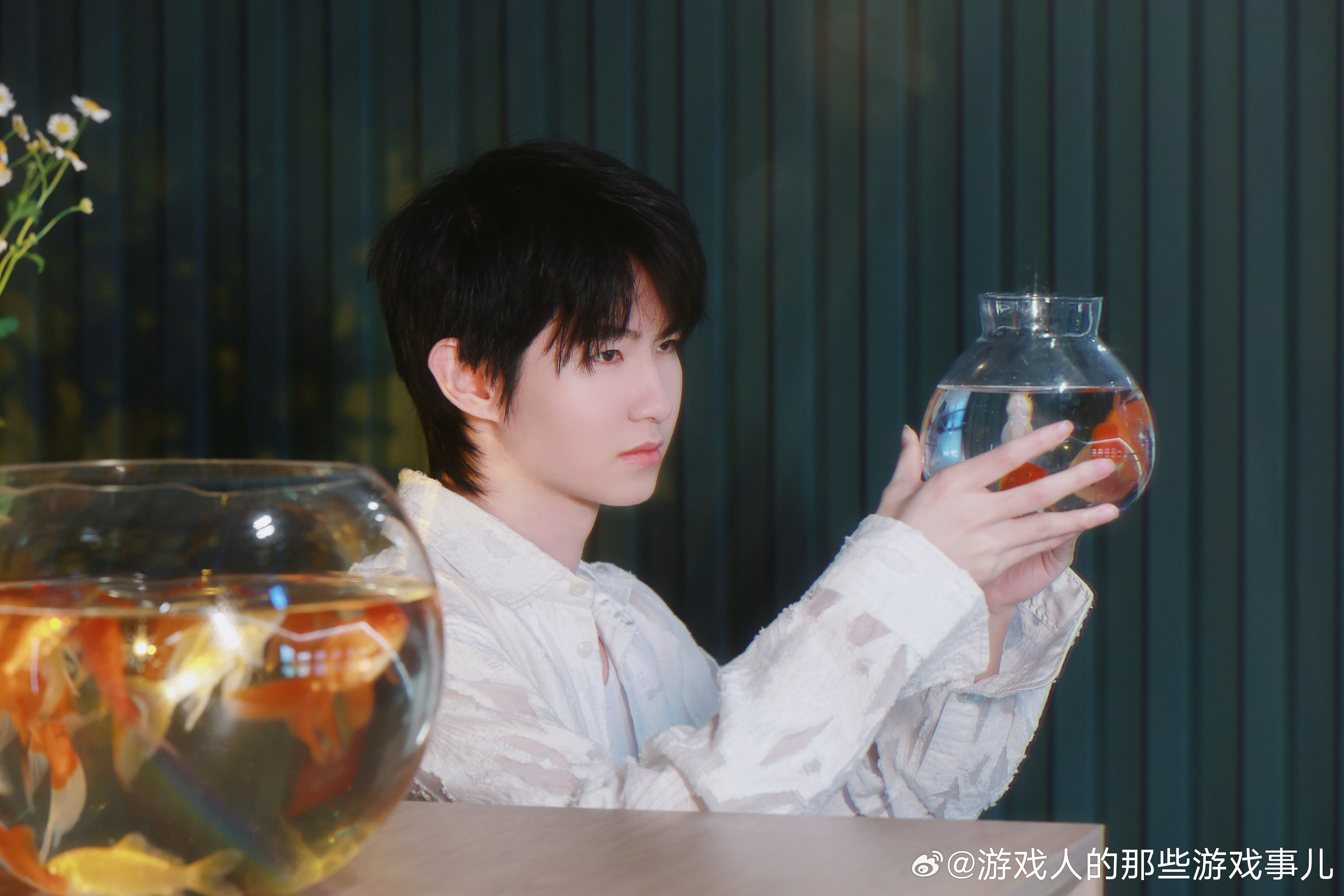 一诺金鱼少年光影大片，探寻少年与金鱼的奇幻之旅