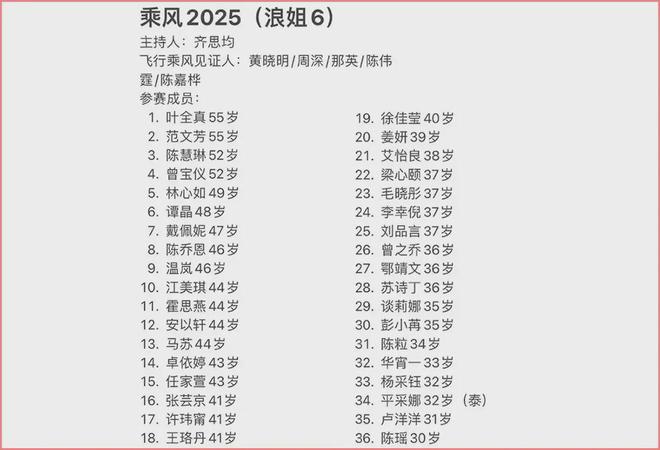 乘风2025最新排名揭秘，探索行业领导者的未来之路
