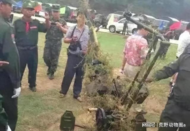 妙瓦底诈骗真相揭秘，揭开陷阱背后的秘密
