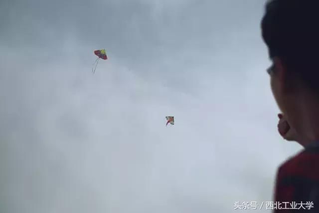 热文 第214页