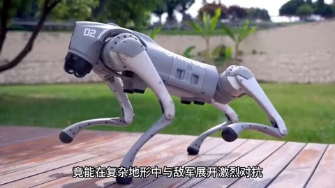 最新 第200页