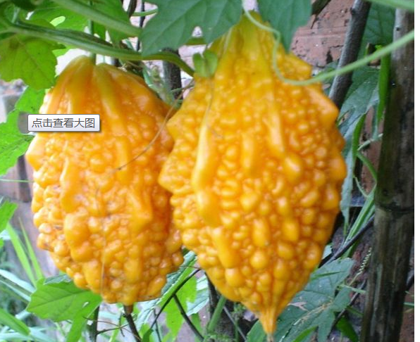 果赖，全球水果的魅力与影响力