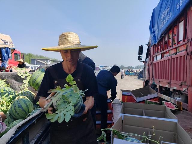 验瓜师，三秒辨熟度甜度，日拍万瓜收入千