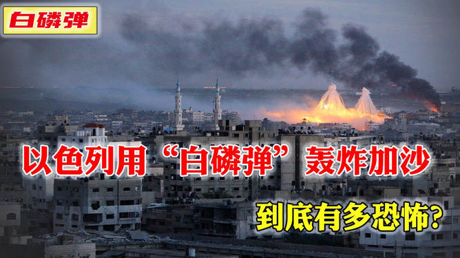 方全面接管加沙，国际法考量下的决策